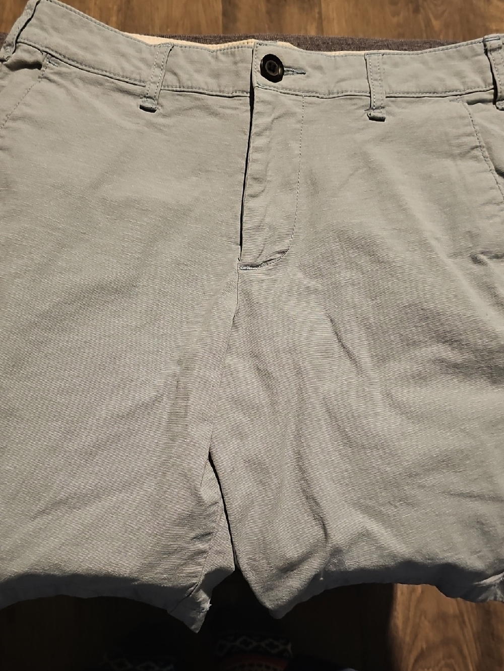 Hollister Blue Shorts Waist 30 Men Flat Front 9" Flex Summer Casual